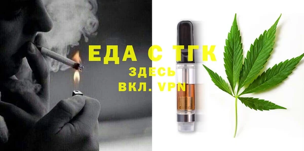 индика Ельня