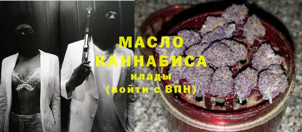 индика Ельня